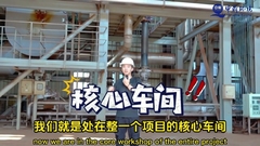 Installation d'incinération des boues Traitement et élimination / Combustion des boues 380V/220V