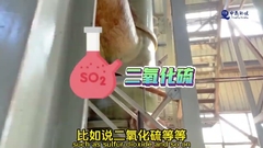 60% à 80% d'humidité Incinération des boues d'égouts à double vis avec système automatisé avancé